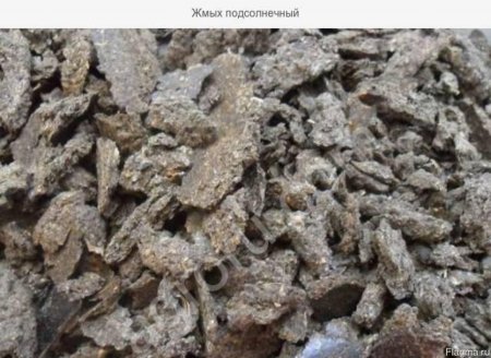 жмых подсолнечный опт