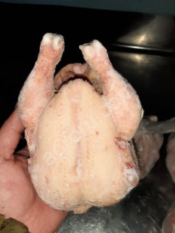 Мясо бройлера, цыпленка корнишона, кур несушек и субпродукты.