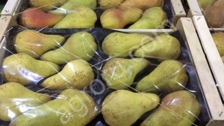 Овощи,Фрукты,Экзотика