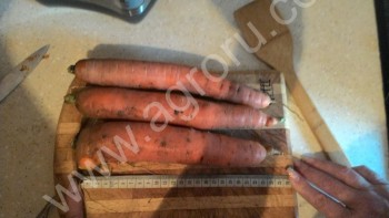 <span>морковь</span> шансон олимпия от см