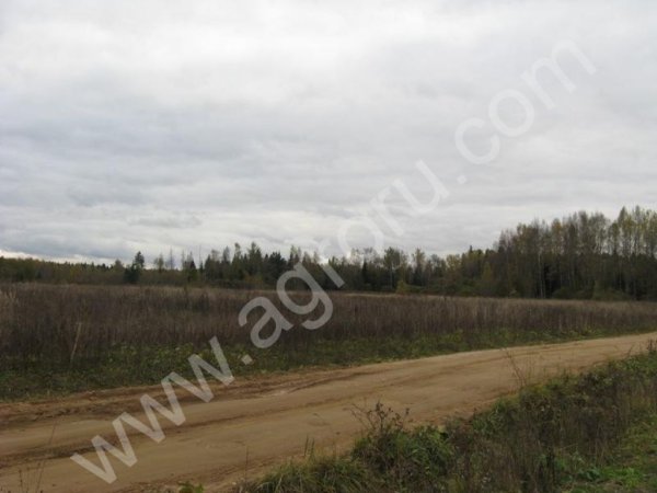 Участок 17 Га.