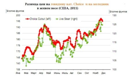 Цены на молодняк выросли на 17 %