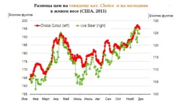 Цены на молодняк выросли на 17 %
