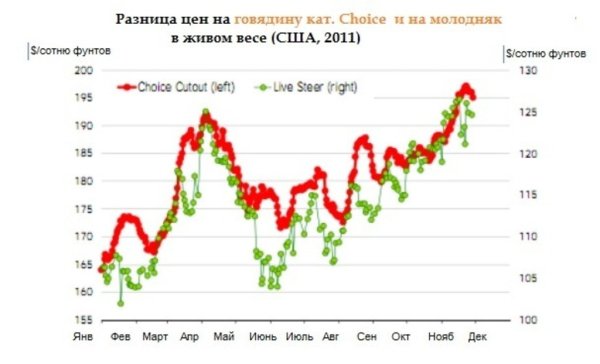 Цены на молодняк выросли на 17 %