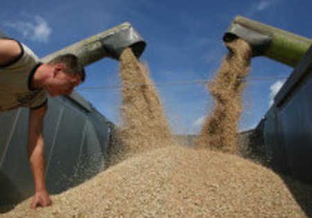 Марокко берет паузу в импорте пшеницы?