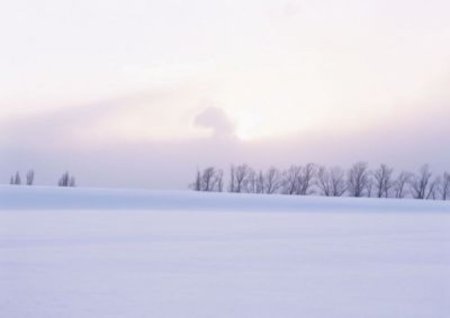 Синоптики Удмуртии