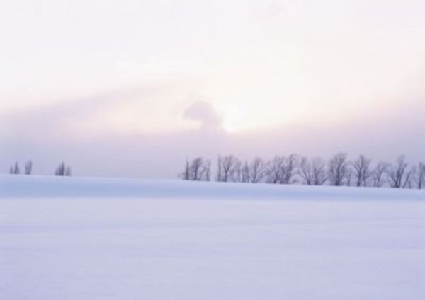 Синоптики Удмуртии