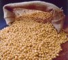 Китай: площадь под озимой пшеницей незначительно возросла, Аргентина: урожай сои снизится из-за засухи.