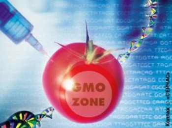Новая маркировка продуктов в Великобритании буксует