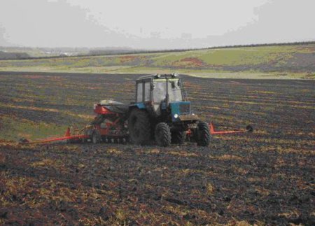 Задержка полевых работы составляет более двух недель