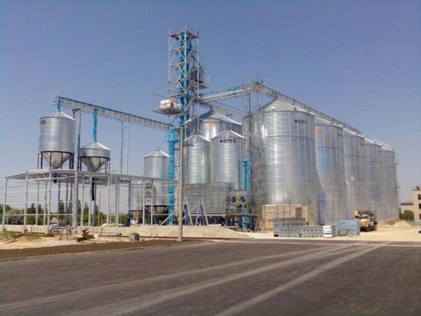 В Воронежской области построят элеватор на 140 тысяч тонн зерна