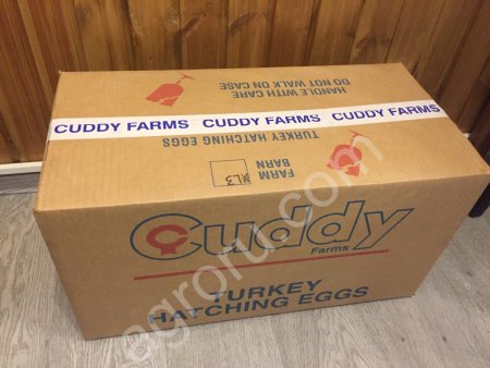 Индюшата Хайбрид Конвертер