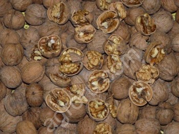 Грецкие орехи оптом
