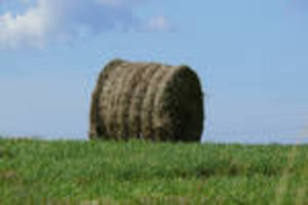 Уборочная кампания идет в шести районах Прибайкалья