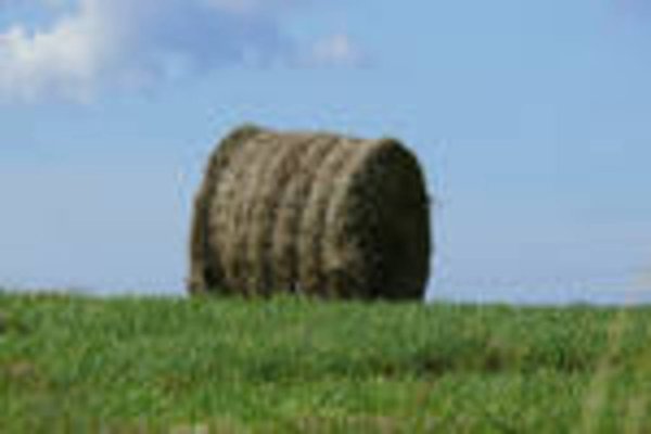 Уборочная кампания идет в шести районах Прибайкалья