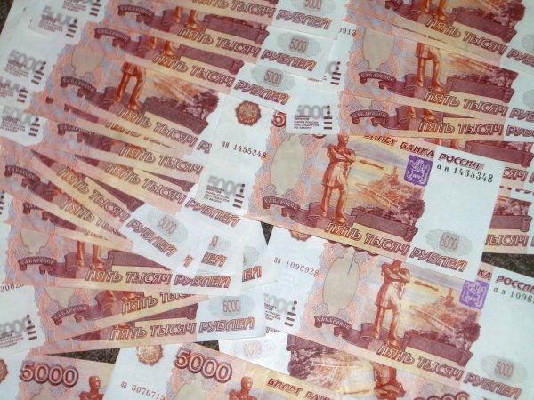 Ульяновская область вошла в первую десятку регионов РФ по уровню доведения финансирования до сельхозпроизводителей