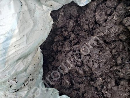 Покровная почва для выращивания шампиньонов