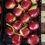 Яблоко свежее