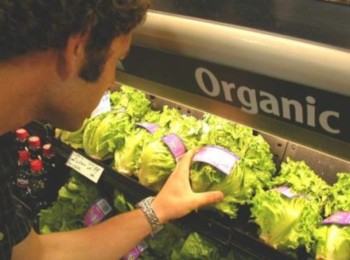Органические продукты сделают из вас толстяка