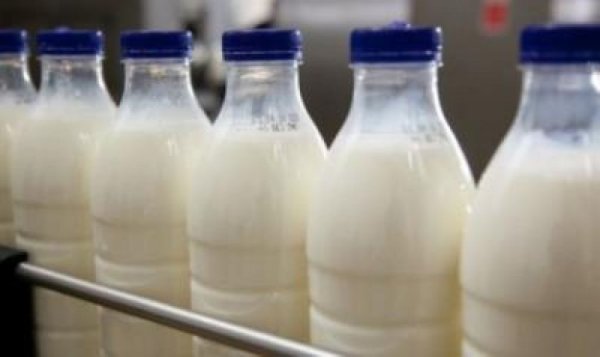 ЕС повысит закупочные цены на молоко