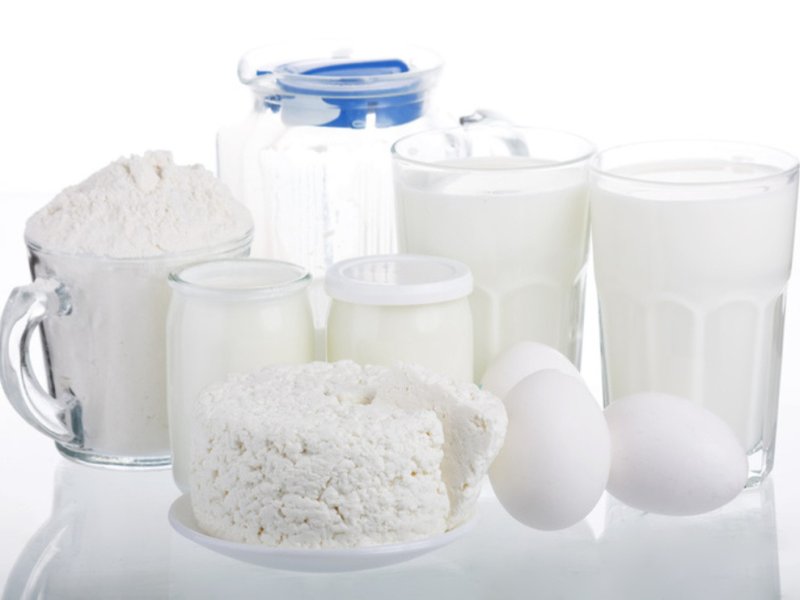 Поведение Streptococcus lactis subsp. diacet