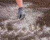 Целевая программа по известкованию кислых почв поможет сохранить плодородие белгородских земель