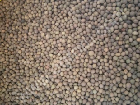 Семена вики яровой