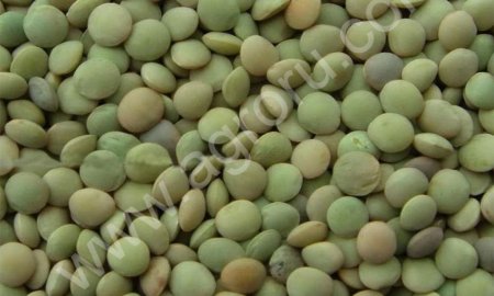 чечевицу зеленую