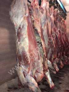 Говядина охлажденная, корова, 1 кат., оптом