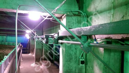 Вентиляция для овощехранилища