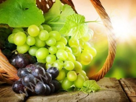 Соковые концентраты 65-70 Brix