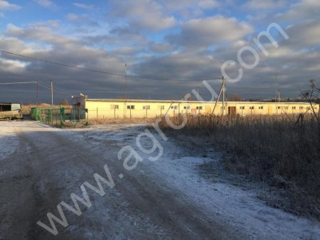 сельскохозяйственное предприятие