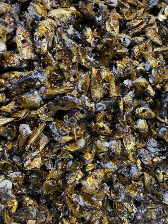 Рыба, Морепродукты