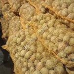 Картофель оптом