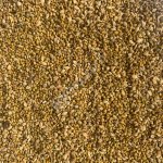 Донник желтый