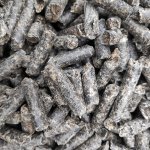 Жом свекловичный