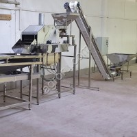 Линия для производства Чипсов Луковые Кольца