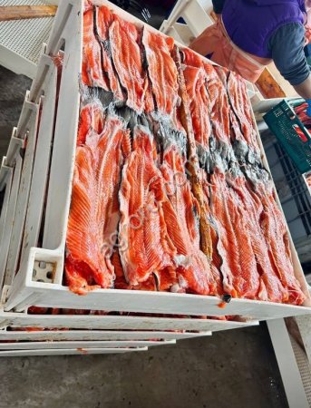 Морская рыба