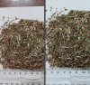 Лист Подорожника Измельчённый