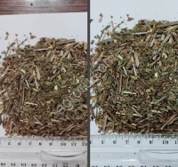 Лист Подорожника Измельчённый