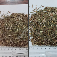 Лист Подорожника Измельчённый