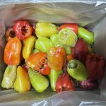 Замороженные овощи