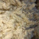 хлопковые отходы, вата тюфячная, стандарты, очёсы