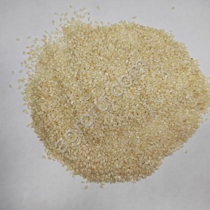 Кунжут