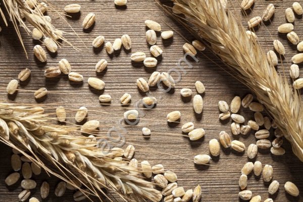 Пшеница 5 класс