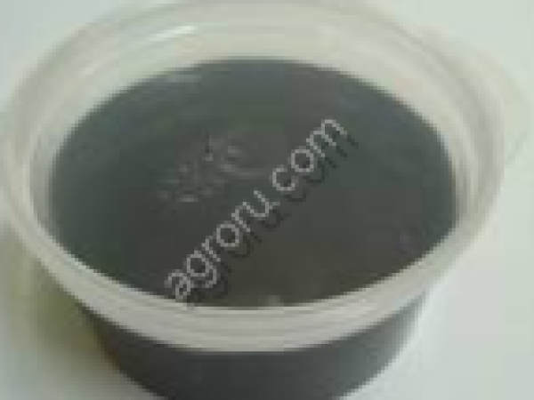 Мед с мумие 300 гр