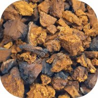 ЧАГА оптом/розница