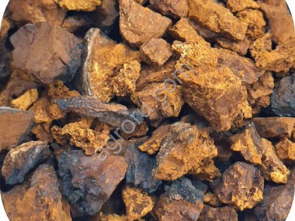 ЧАГА оптом/розница