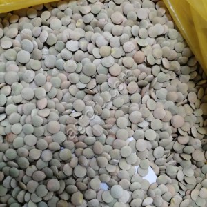 Чечевица красная 5 мм