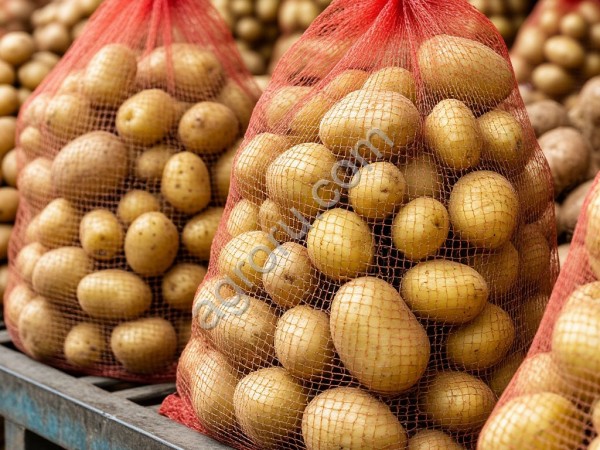 Картофель